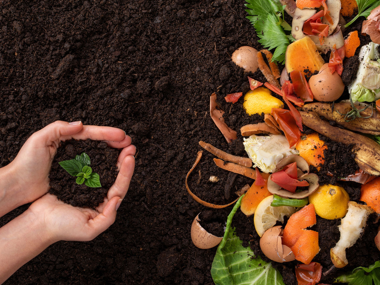 Hände formen eine Schale mit Erde und kleiner Pflanze neben Kompost